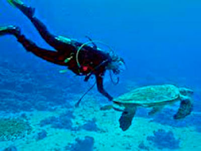 Buceo en Punta Sal Tumbes Peru